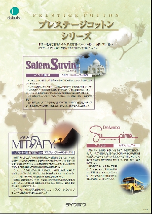 ミタフィ
