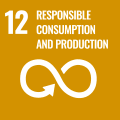 SDGs Icon 12