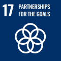 SDGs Icon 17